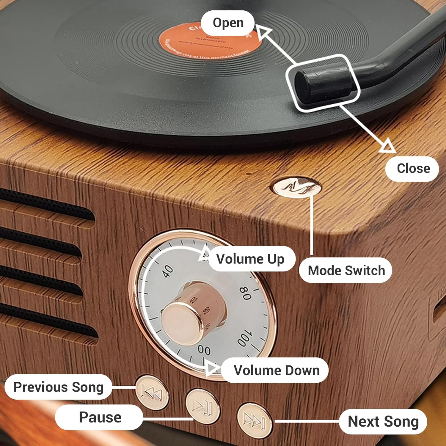 Vintage Bluetooth Speaker with Copper Horn FM Radio Wood Grain