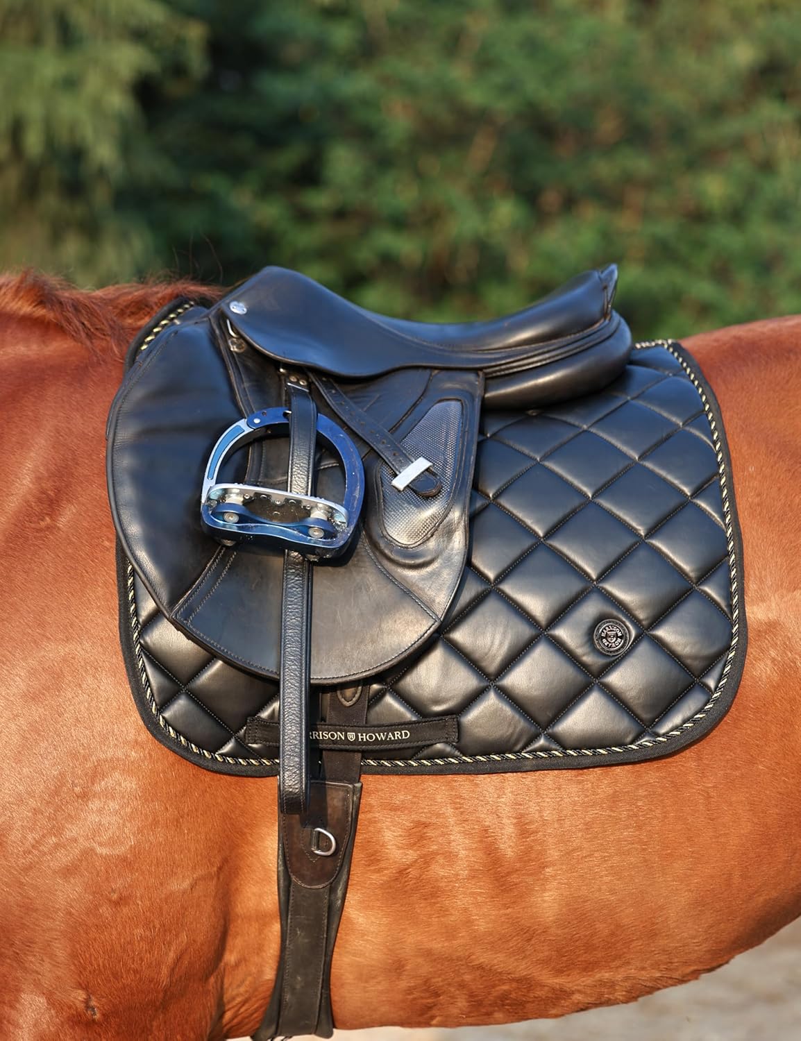 Dressage Saddle Pad Leather Shock Absorption Waterproof
