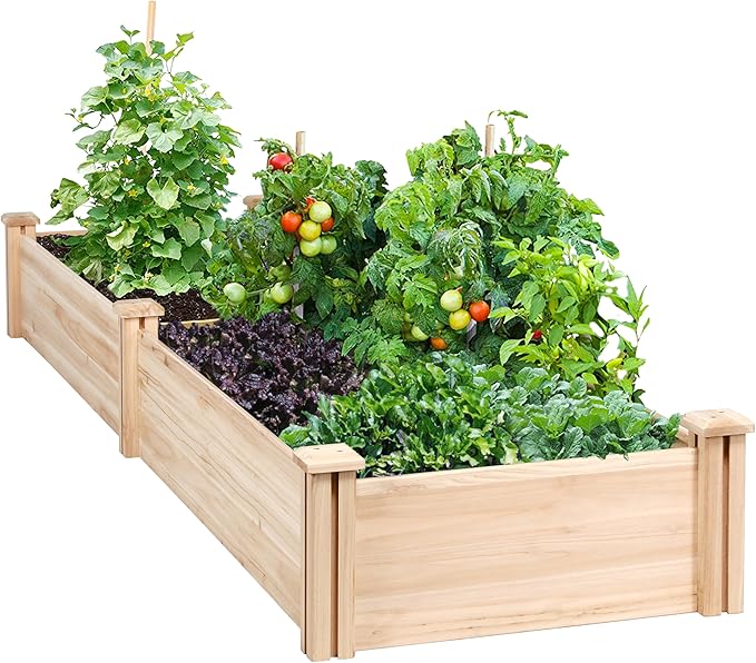 Extra Large Wooden Raised Garden Bed 241cm Divisible Planter