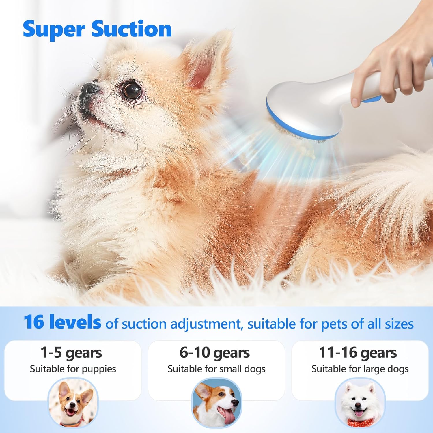 Pet Grooming Vacuum 13.4Kpa 2L 5 Tool Clippers Dog Cat