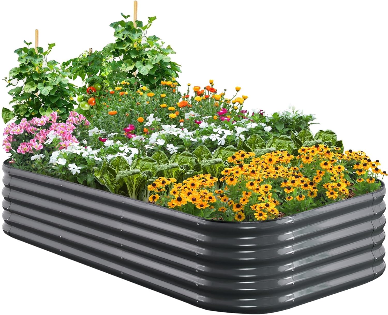 Large Oval Galvanized Raised Garden Bed 240x120cm Steel