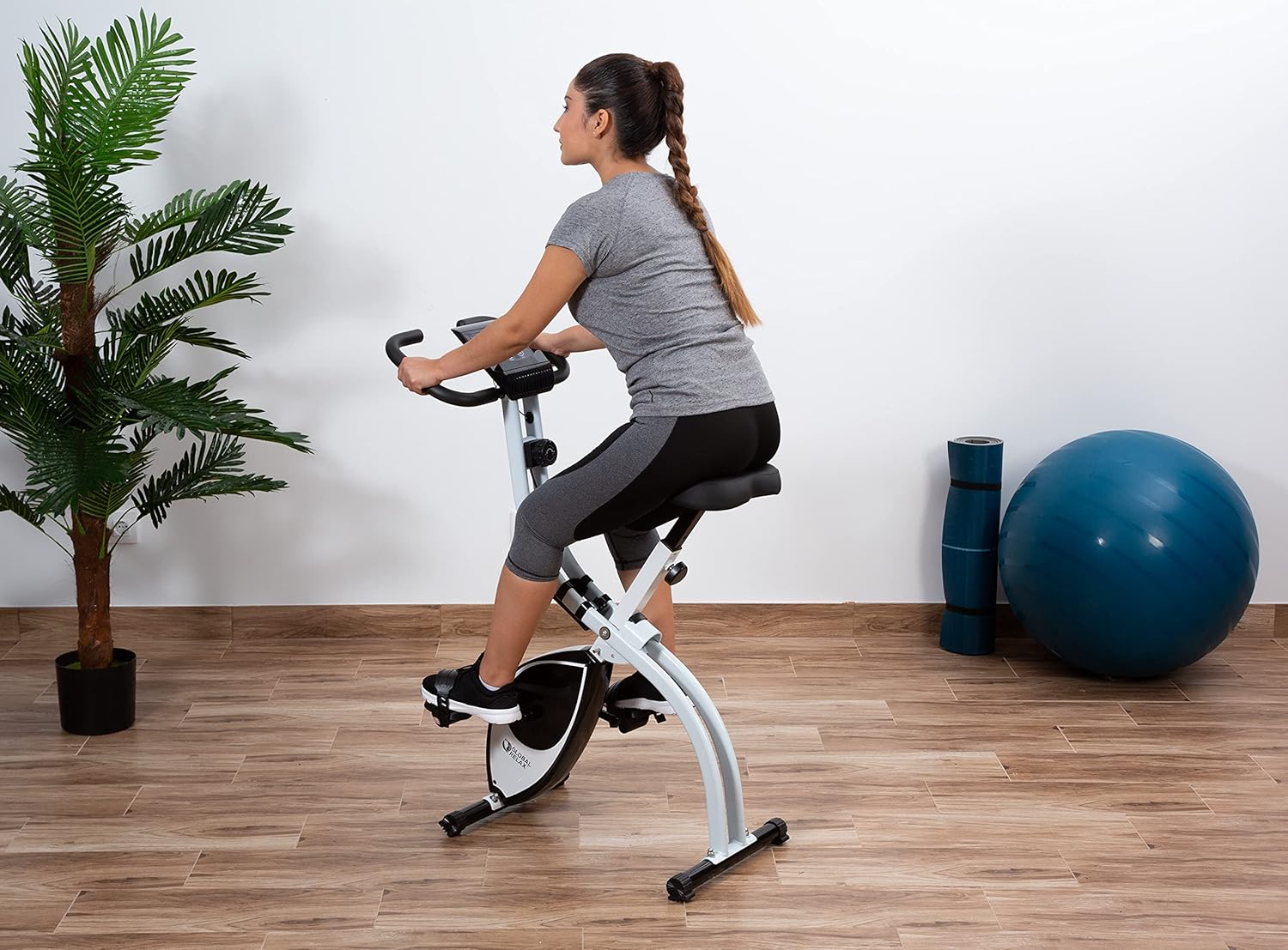 Foldable Exercise Bike Indoor Cycling Cardio Trainer w/ LCD Monitor