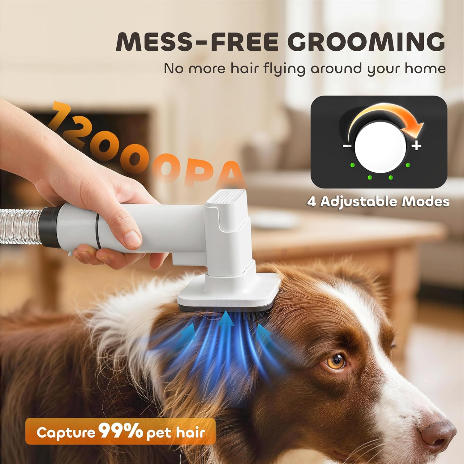 Dog Grooming Vacuum Dryer Kit 12000Pa 5 In 1 Quiet