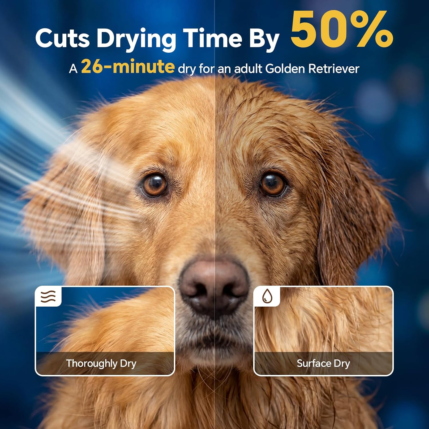 High Velocity Dog Dryer 2800W Pet Grooming Blaster 4 Nozzles