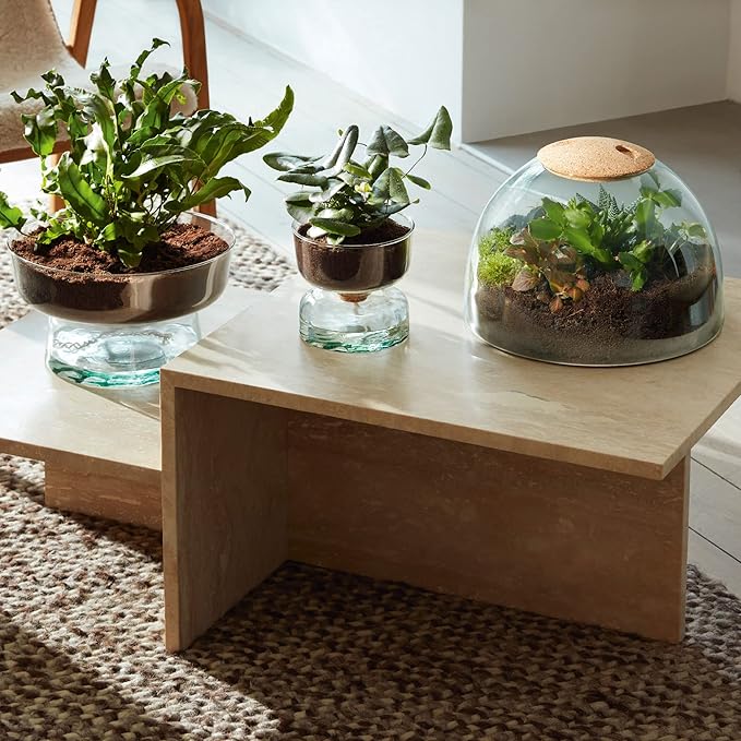Self Watering Glass Planter 22cm Indoor Plant Pot Cork Lid
