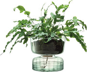 Self Watering Glass Planter 22cm Indoor Plant Pot Cork Lid