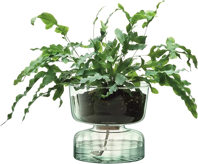Self Watering Glass Planter 22cm Indoor Plant Pot Cork Lid