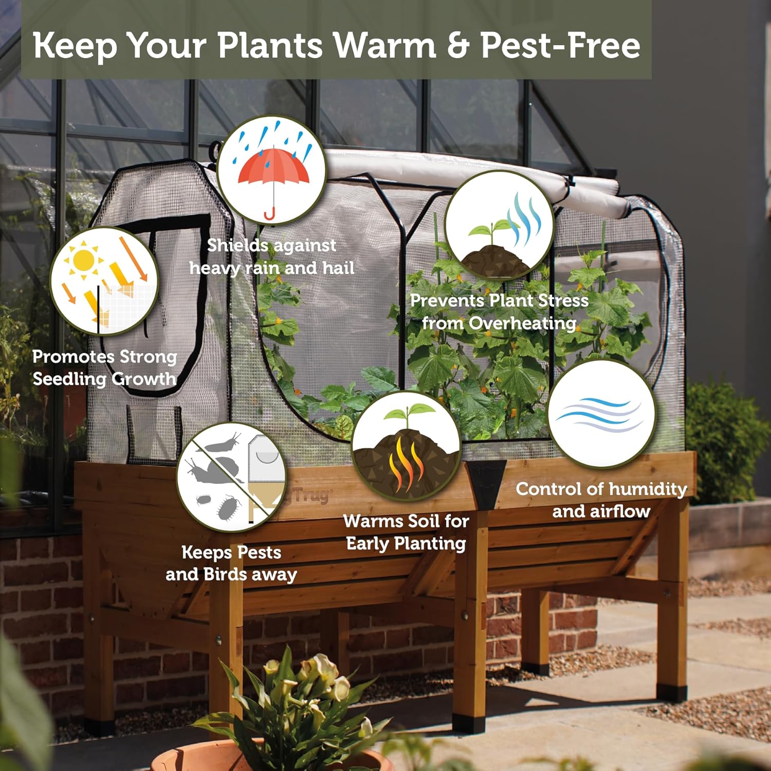 Medium Greenhouse Frame and Multi Cover Set 180cm White