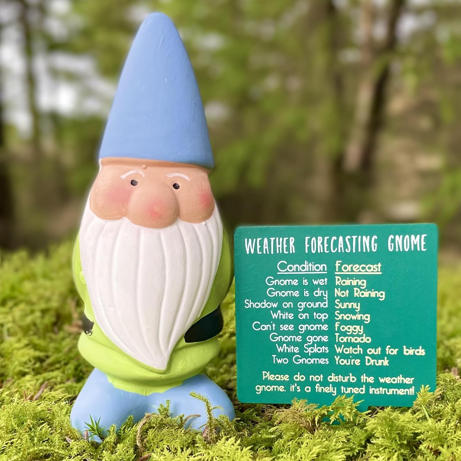 Weather Forecast Gnome 25cm Garden Ornament Funny Outdoor