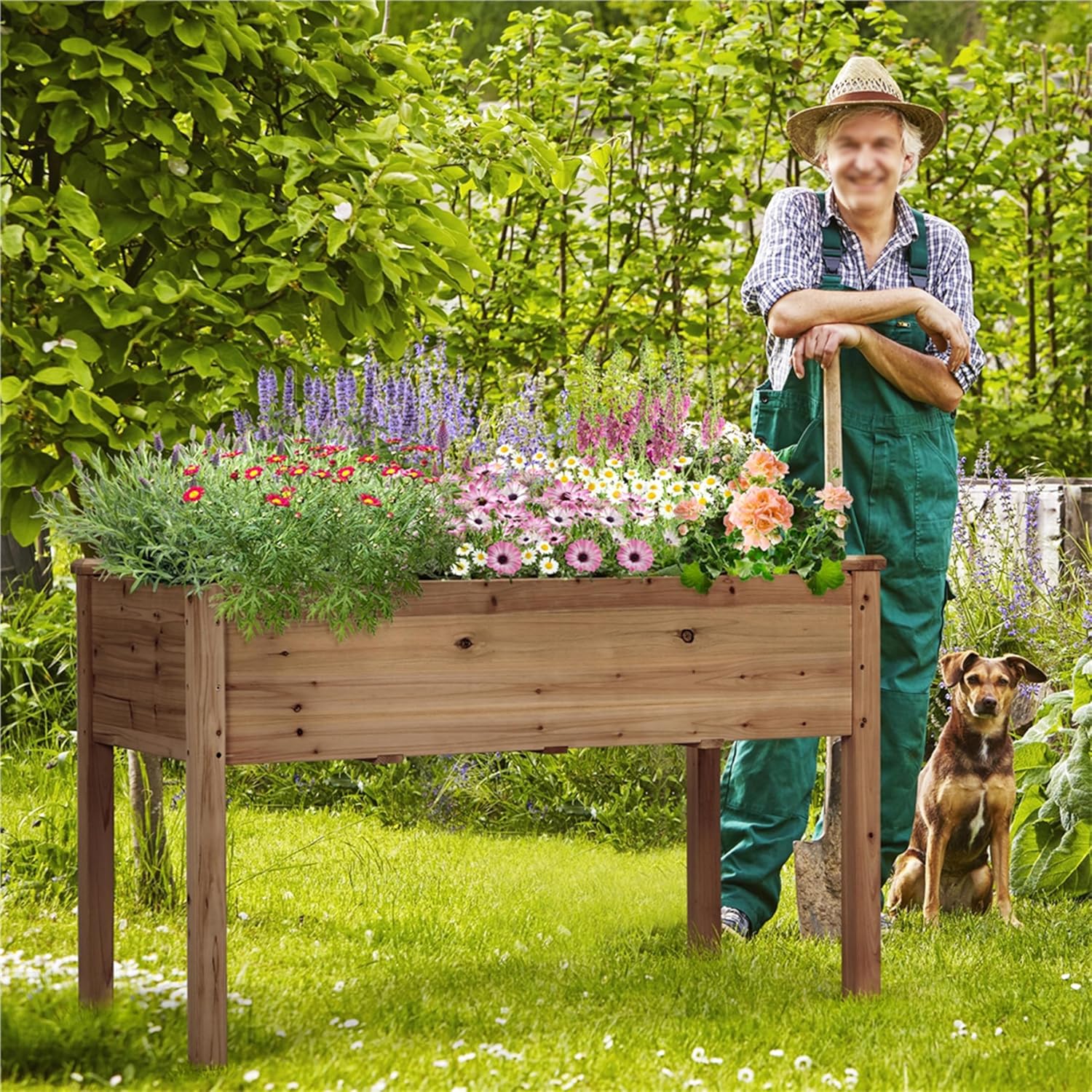 Raised Wooden Garden Bed Set of 2 Elevated Planter 120cm