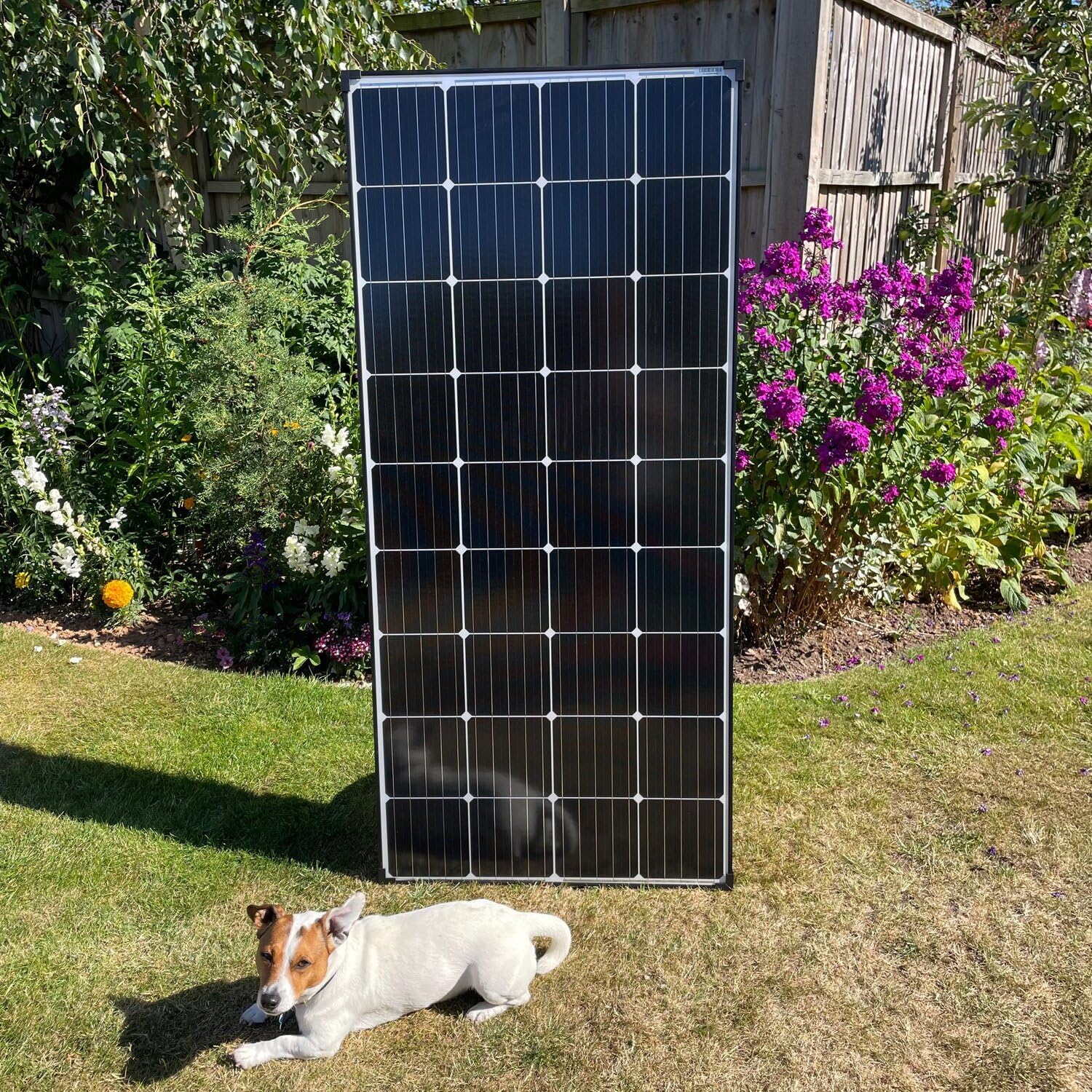 200W Solar Panel Black Frame 14 Busbar Mono High Efficiency
