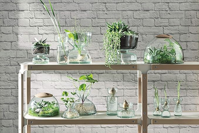 Self Watering Glass Planter 13cm Indoor Plant Pot Cork Lid