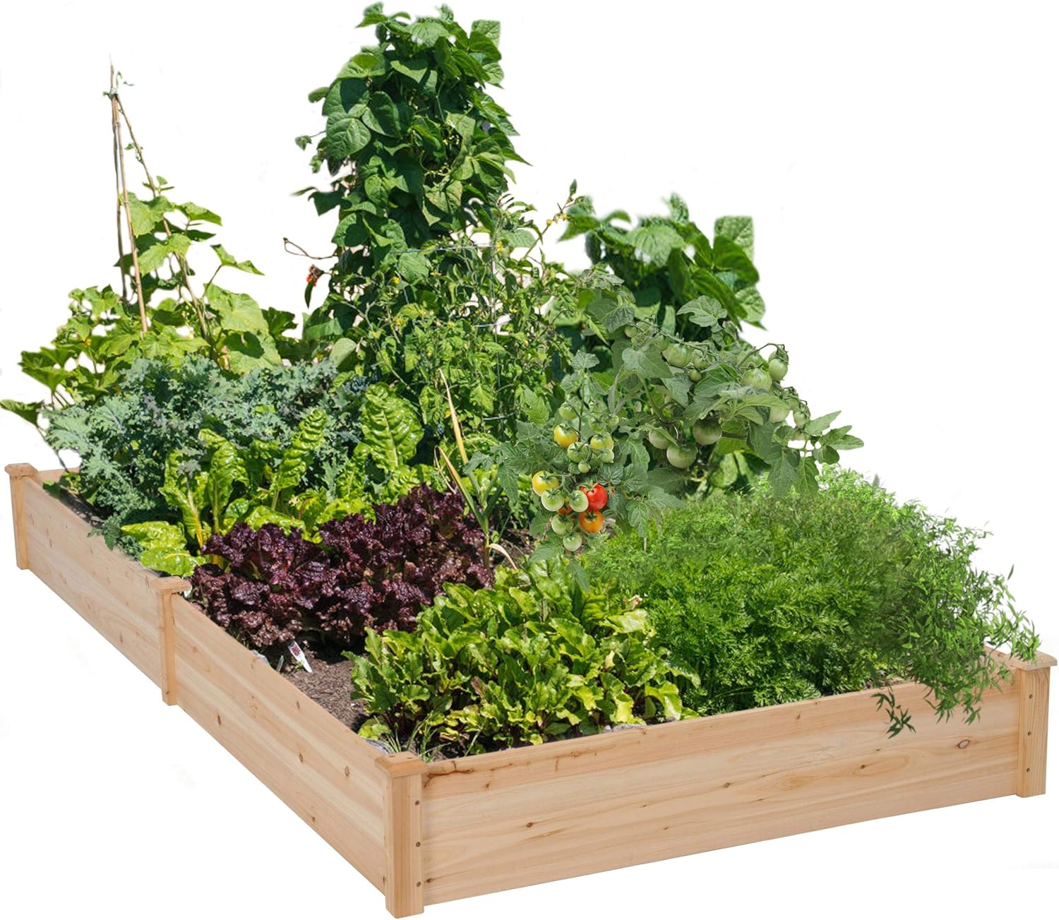 Extra Large Wooden Raised Garden Bed 241cm x 124cm