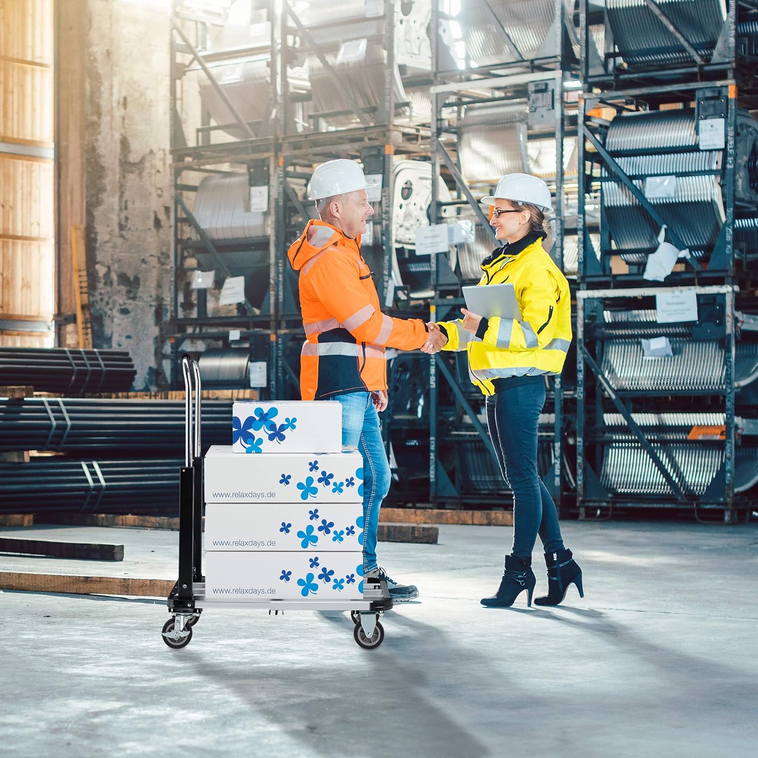 Folding Platform Truck 100KG Extendable Cart with Brakes