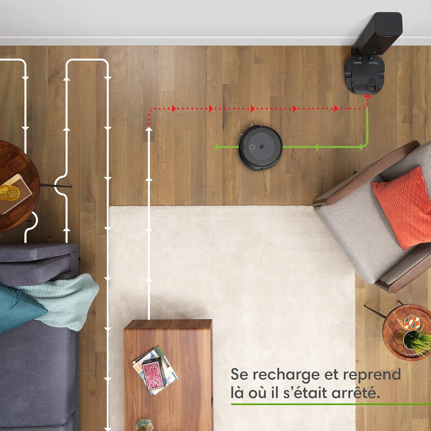 Robot Vacuum Self Empty Smart Mapping WiFi Pet Hair Auto Clean