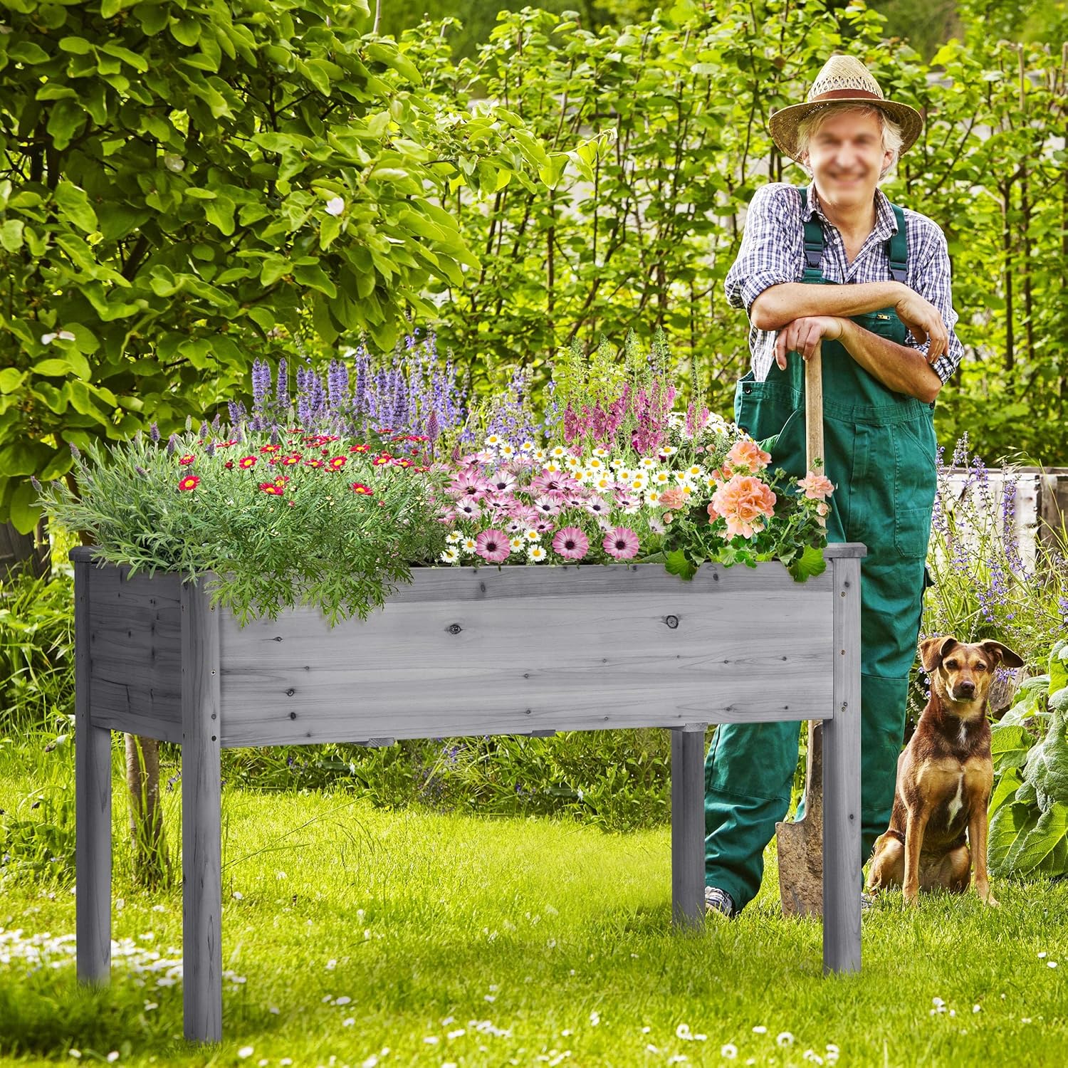 Raised Wooden Garden Bed Grey Elevated Planter Box 120cm