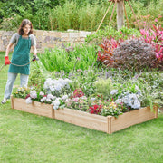 Extra Large Wooden Raised Garden Bed 241cm x 124cm