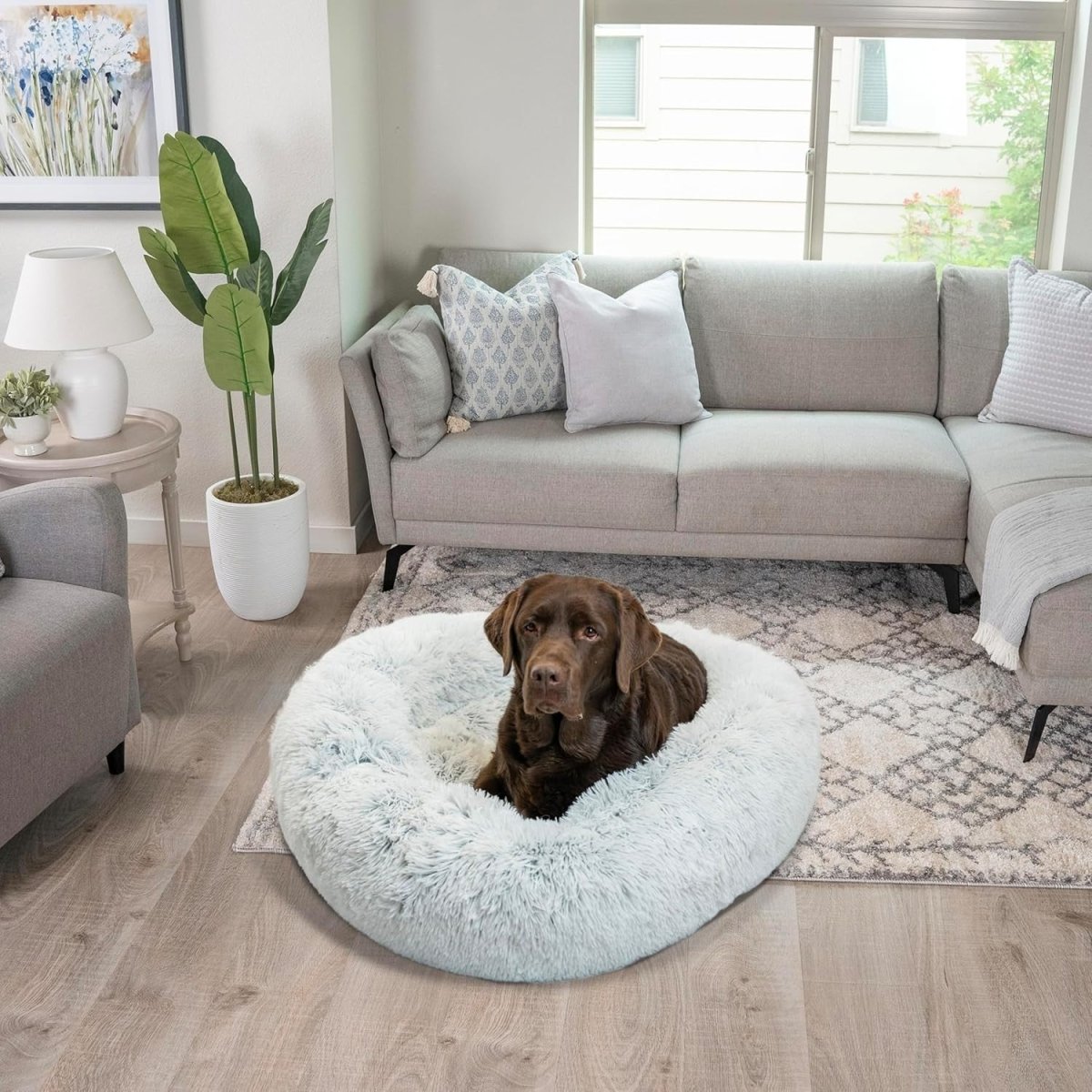 Calming Donut Dog Bed 36x36 Shag Fur Anti Anxiety Large Frost - Kwikley