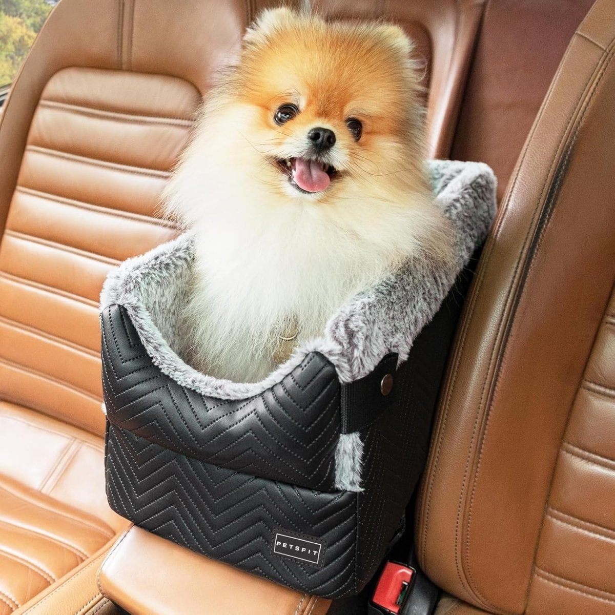 Center Console Dog Car Seat Safety Tether Booster Bed Small Dogs 9lb - Kwikley