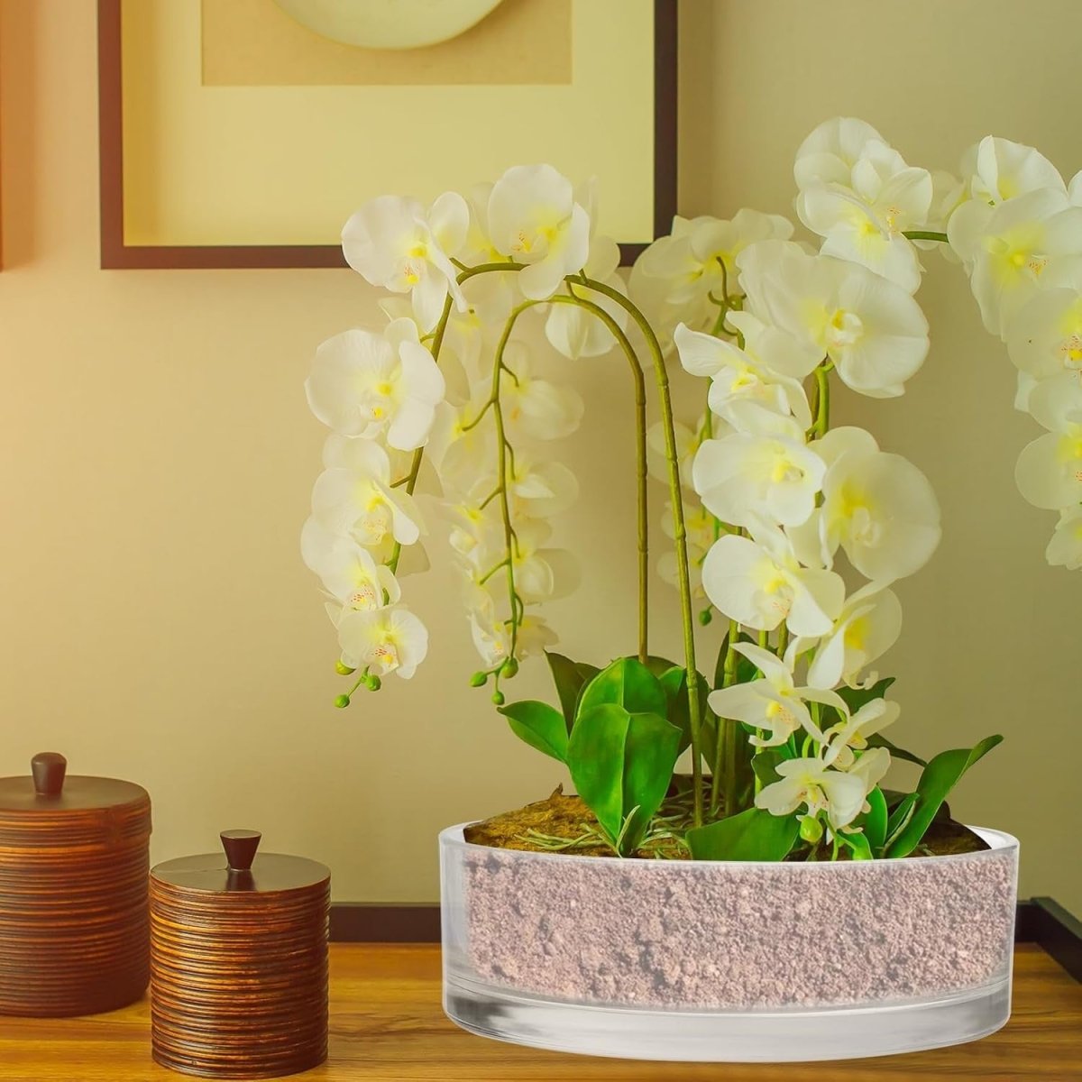 Clear Glass Cylinder Bowl Vase 10x3in Centrepiece Terrarium Decor - Kwikley