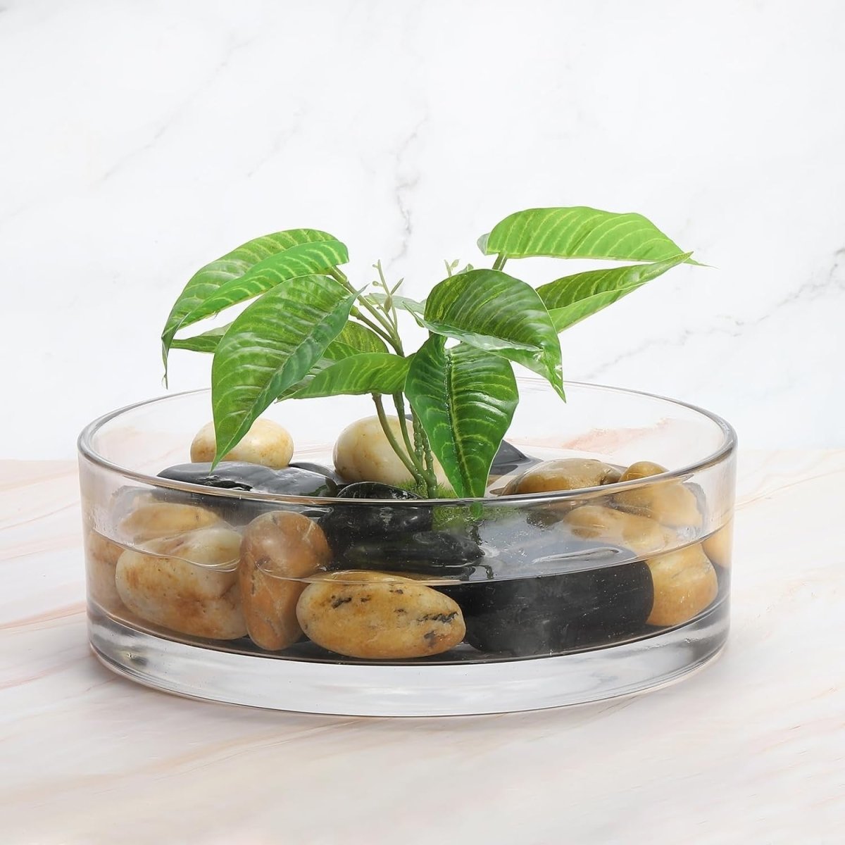 Clear Glass Cylinder Bowl Vase 10x3in Centrepiece Terrarium Decor - Kwikley