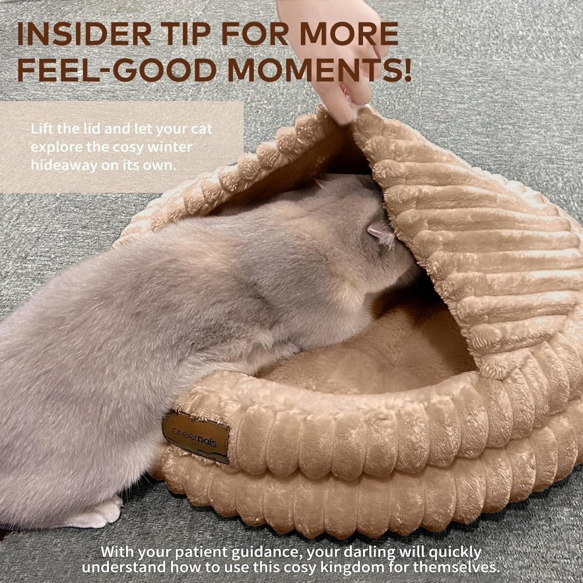 Cozy Cat Cave Bed 50cm Washable Covered Pet Nest Warm Indoor Hideaway - Kwikley