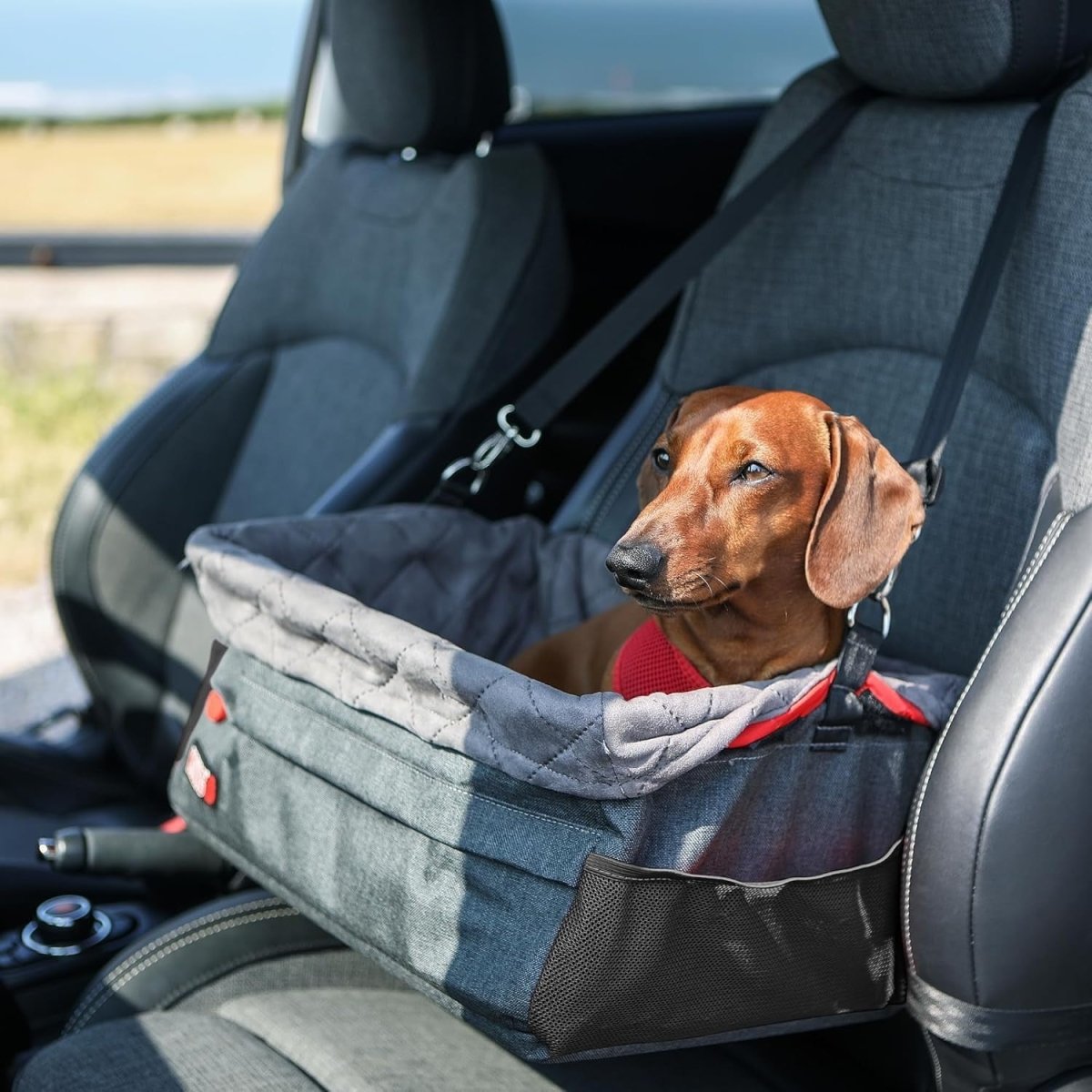 Dog Booster Car Seat Secure Travel Carrier Washable Cushion 12kg - Kwikley