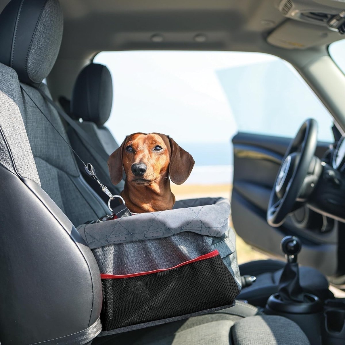 Dog Booster Car Seat Secure Travel Carrier Washable Cushion 12kg - Kwikley