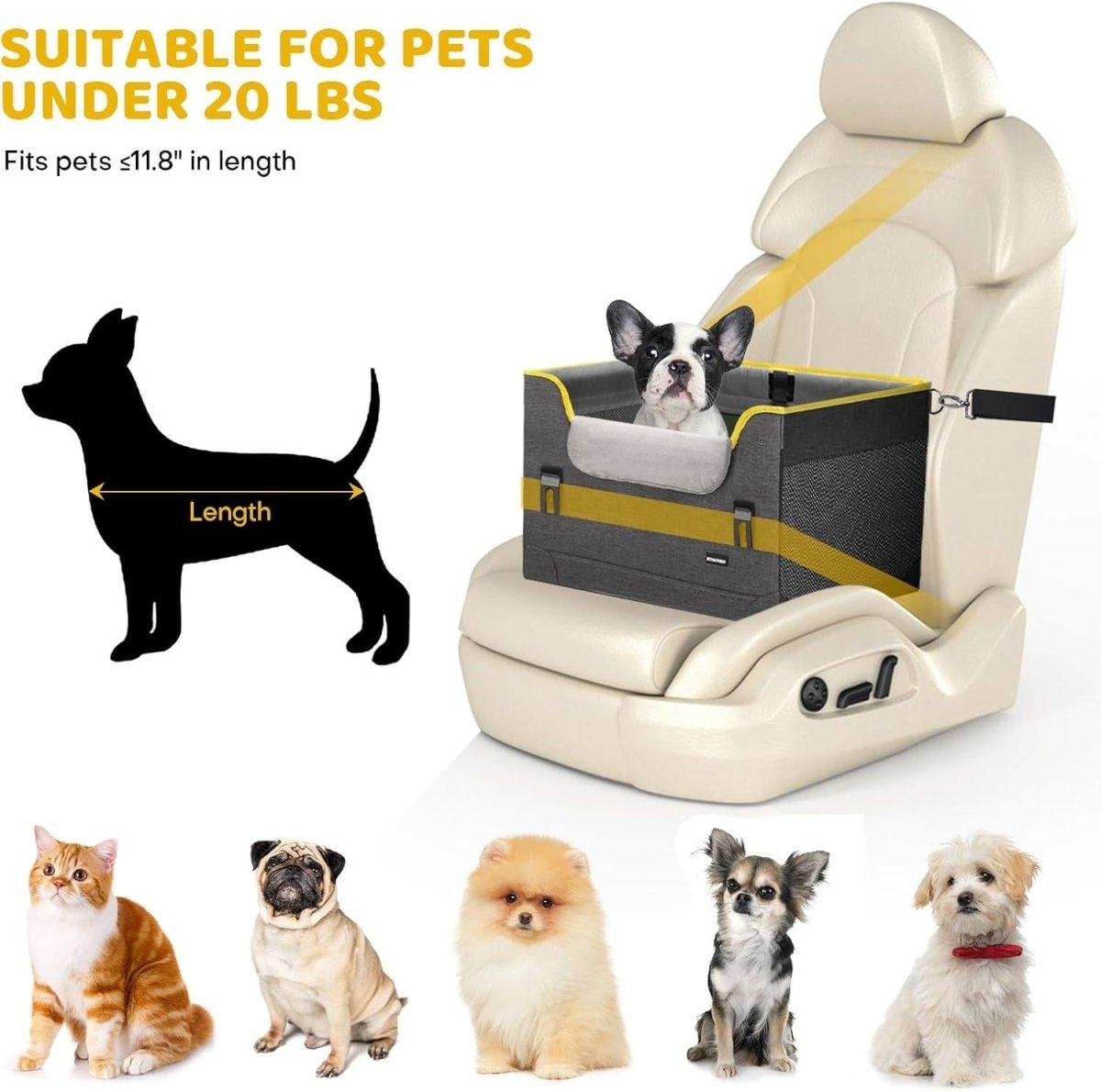 Dog Car Seat Small Dogs Booster Seat Safety Leash Washable Cushion - Kwikley