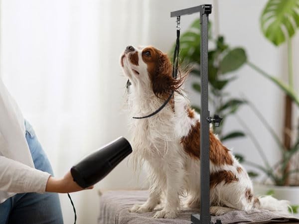 Dog Grooming Arm Clamp Adjustable Height Dual Loop No Sit Holder Portable - Kwikley
