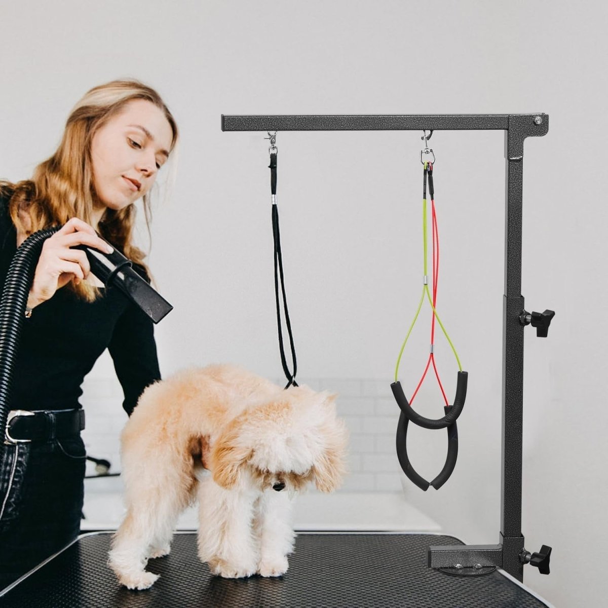 Dog Grooming Arm Clamp Height Adjustable Dual Arm Loop Noose Portable - Kwikley