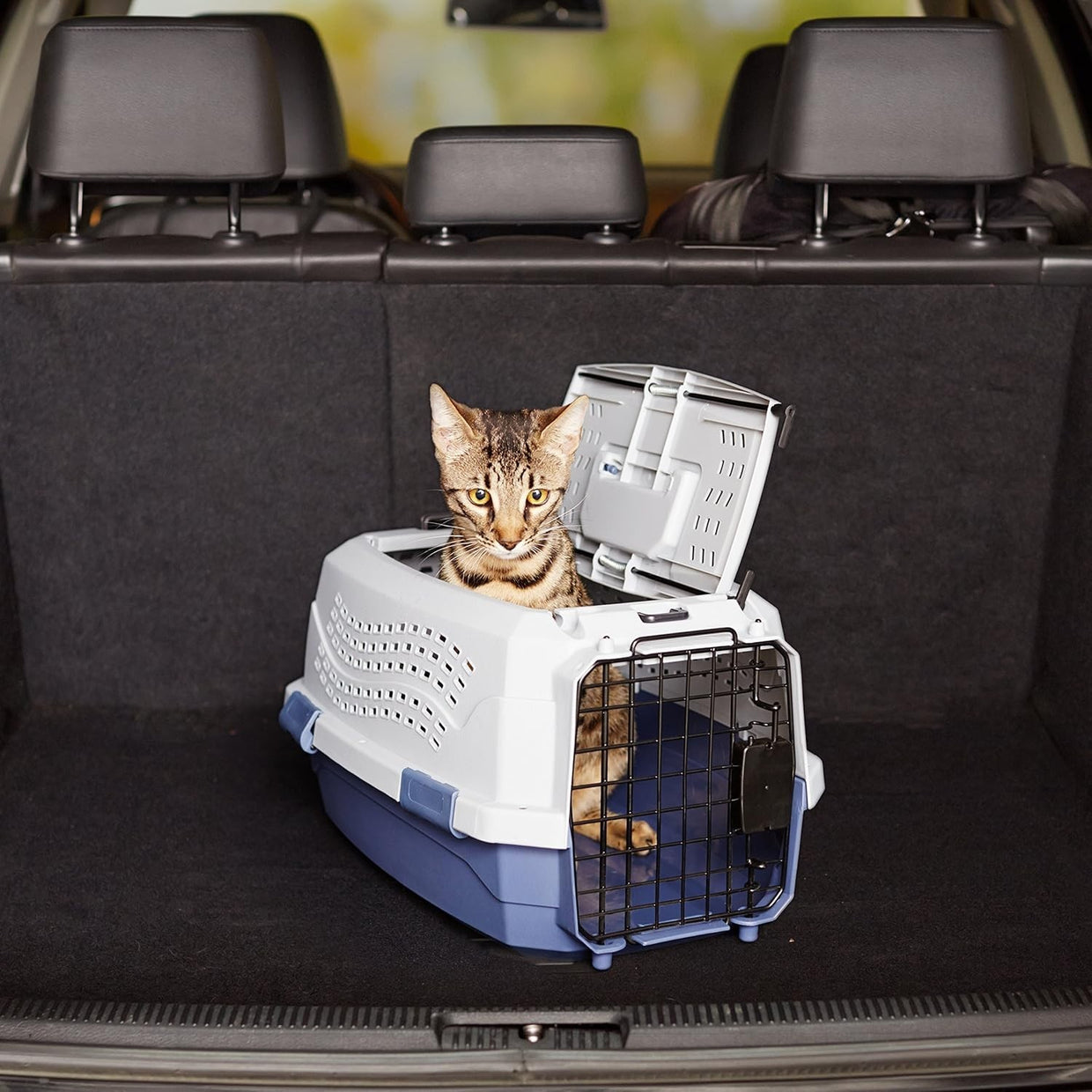 Durable Hard - Sided Pet Carrier with Two Doors & Top - Load 48x32x25 cm - Kwikley