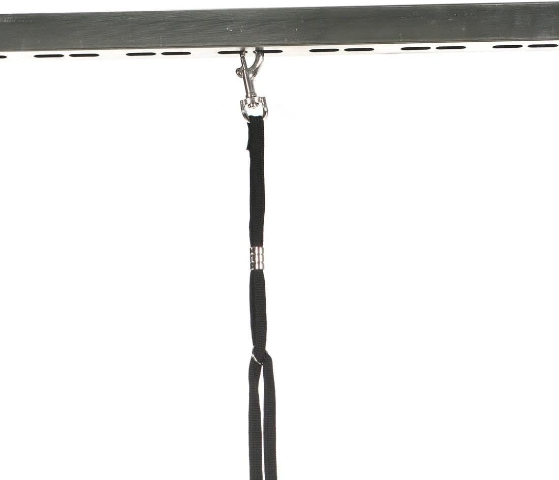 Electric Dog Grooming Table Adjustable Height H Bar Heavy Duty Salon Grade - Kwikley