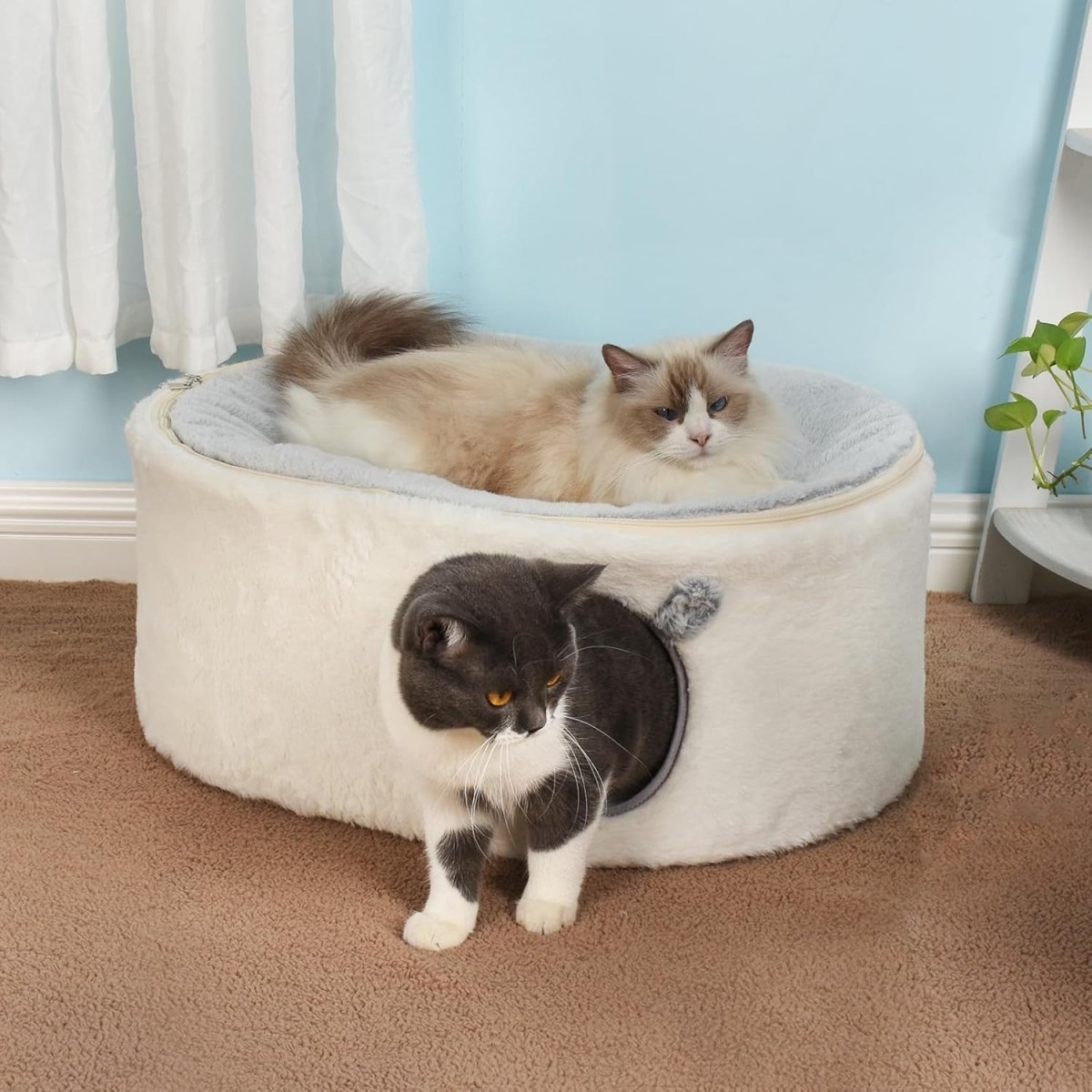 Elevated Cat Bed Enclosed Kitty House Raised Hammock Washable Cover - Kwikley