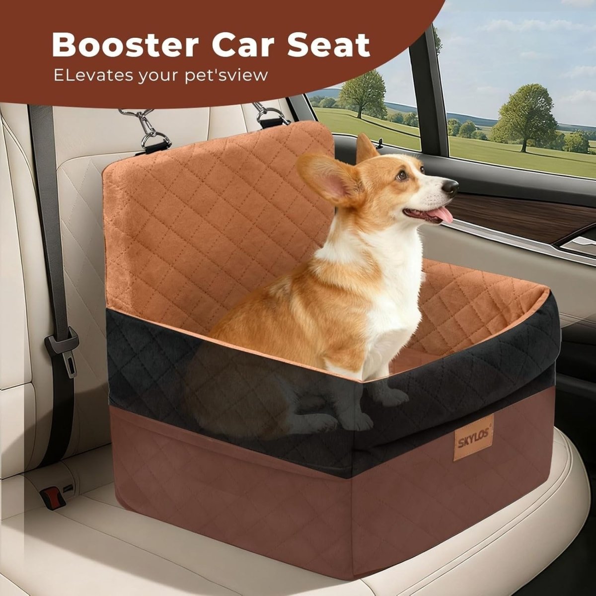 Elevated Puppy Car Seat Booster Bed Washable Travel Carrier Up to 16KG - Kwikley