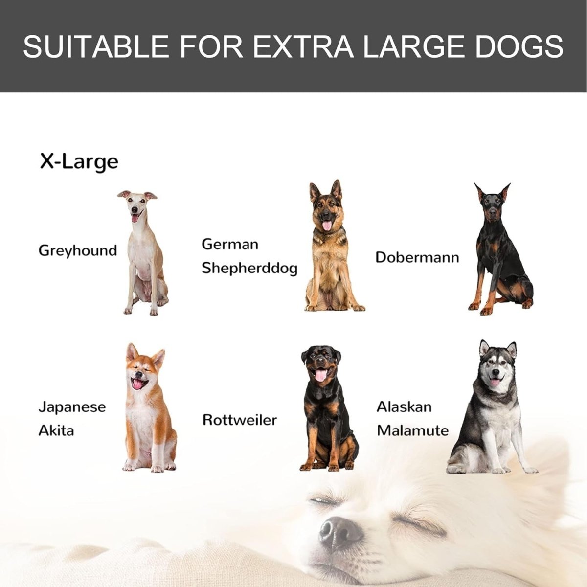 Extra Large Metal Dog Crate with Locking Door, Wheels & Removable Tray 125x76x81 - Kwikley
