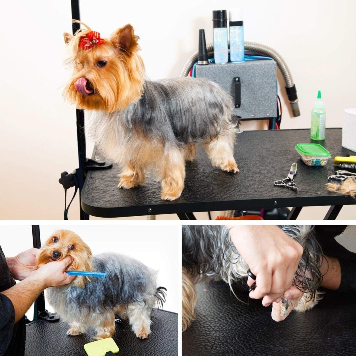 Foldable Dog Grooming Table Adjustable Arm Non Slip Heavy Duty 100kg - Kwikley
