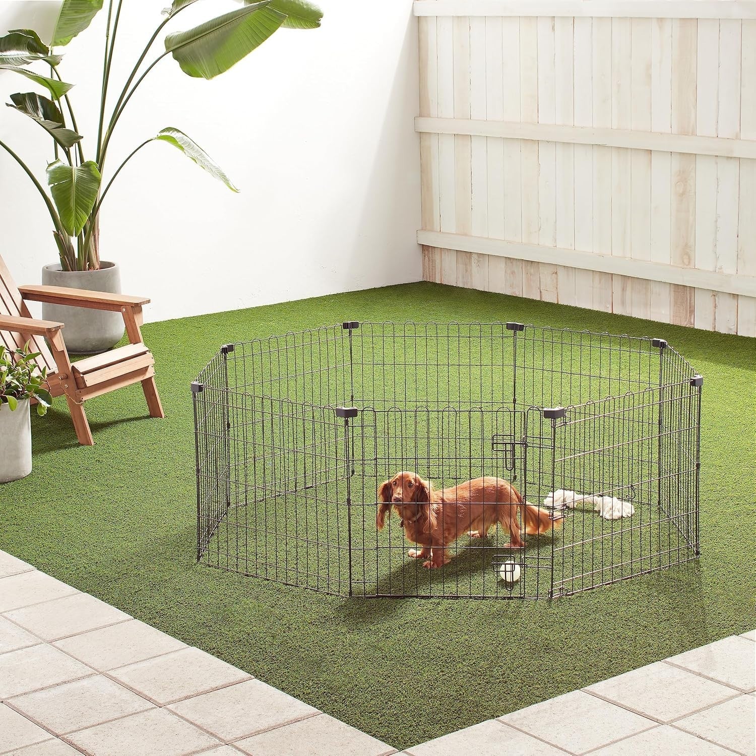 Foldable Metal Dog Playpen with Door 150x150x61cm Portable Exercise Pen - Kwikley