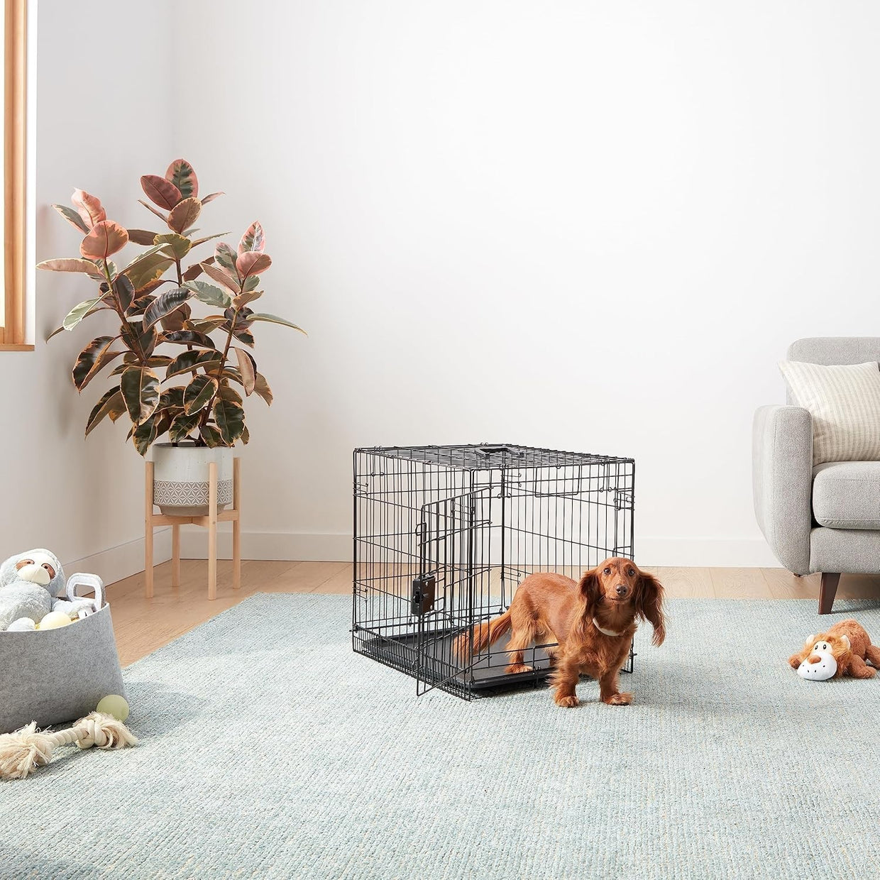 Foldable Small Metal Dog Crate Cage with Tray – Secure Indoor Kennel 61cm - Kwikley