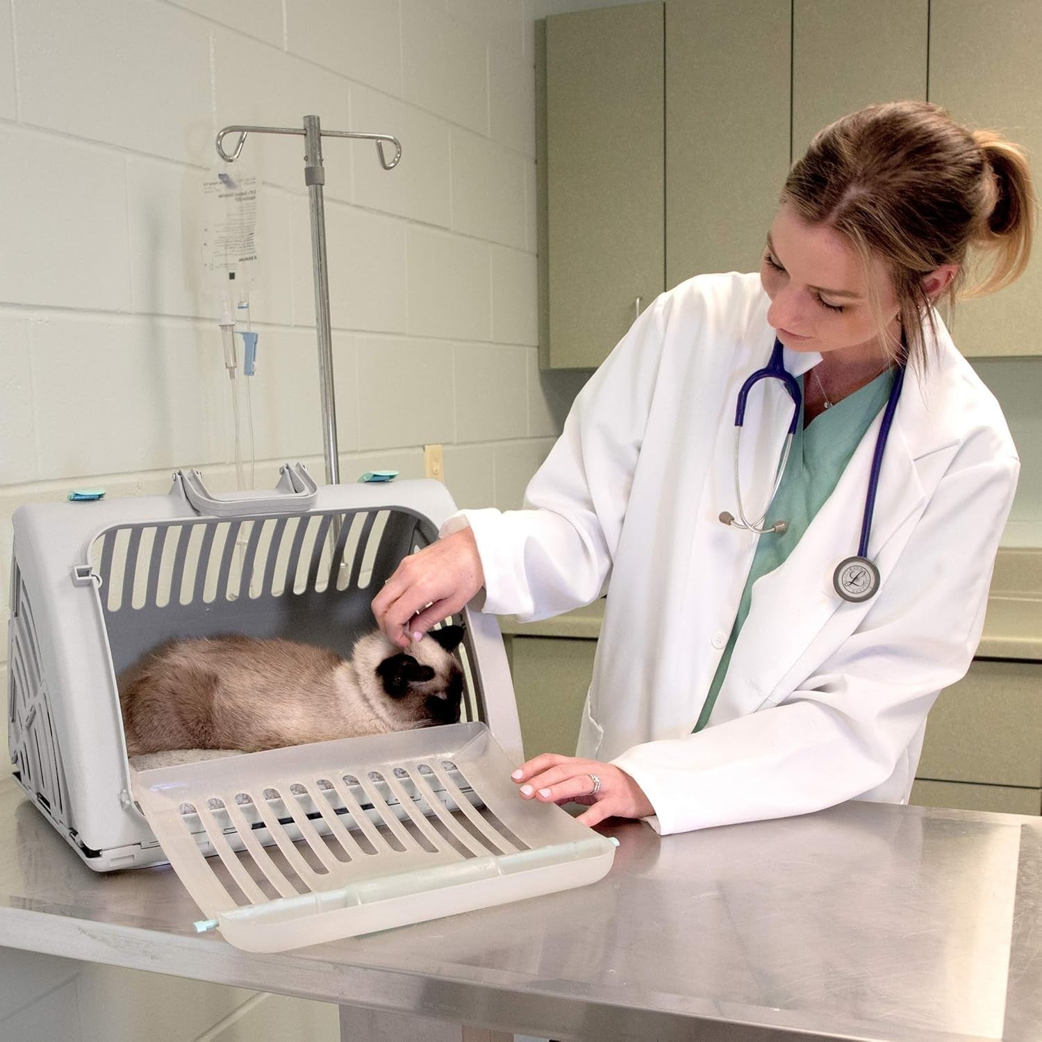 Foldable Travel Cat Carrier with Waterproof Bed - Compact, Easy Clean - Kwikley