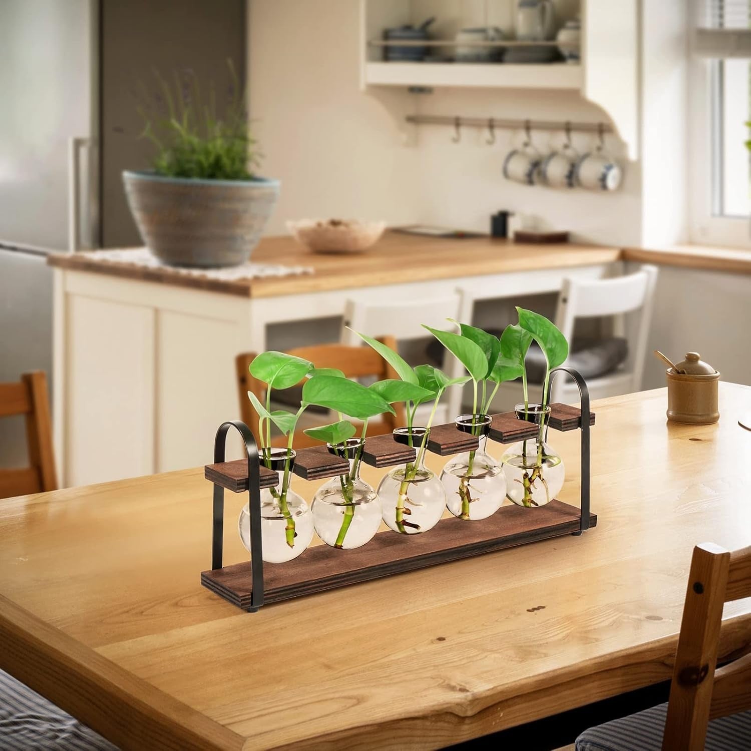 Glass Hydroponic Planter Stand Wooden Frame 5 Bulb Vase Propagation Station - Kwikley