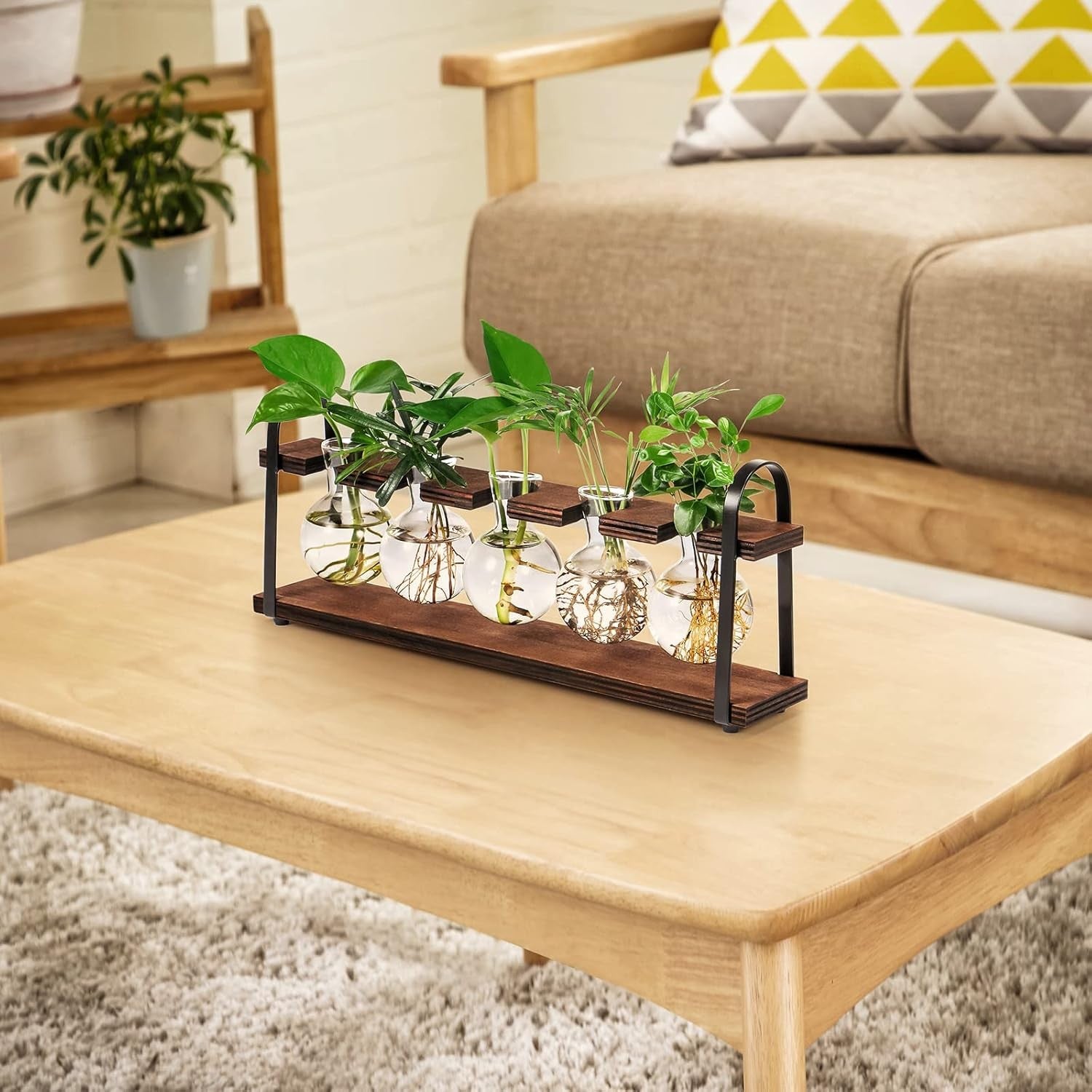 Glass Hydroponic Planter Stand Wooden Frame 5 Bulb Vase Propagation Station - Kwikley