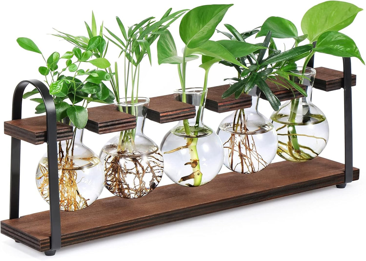Glass Hydroponic Planter Stand Wooden Frame 5 Bulb Vase Propagation Station - Kwikley