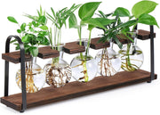Glass Hydroponic Planter Stand Wooden Frame 5 Bulb Vase Propagation Station - Kwikley