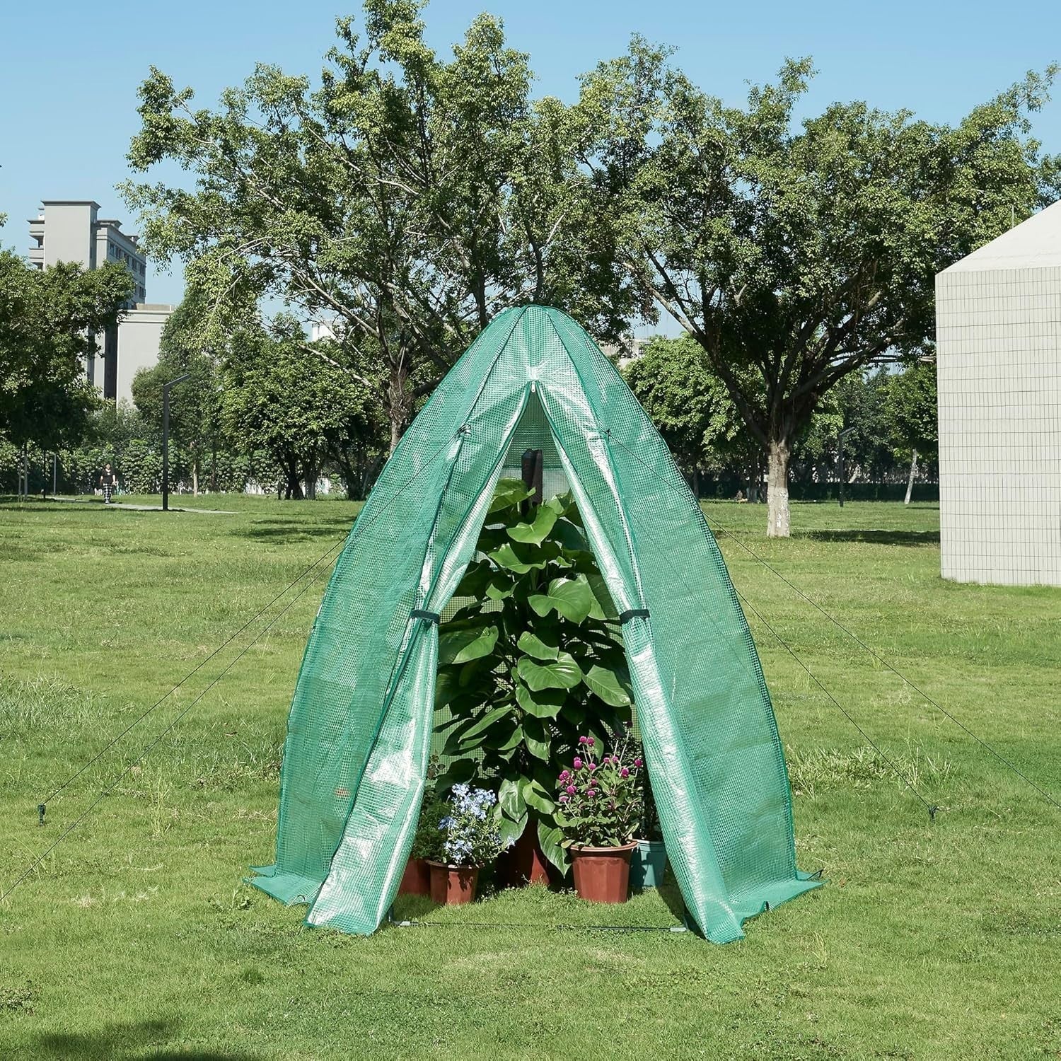 Green Foil Greenhouse Tent 183x160cm | Heavy - Duty PE Cover & Steel Frame - Kwikley