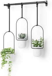 Hanging Window Planter Set 3 Indoor Herb Garden Adjustable Pots - Kwikley