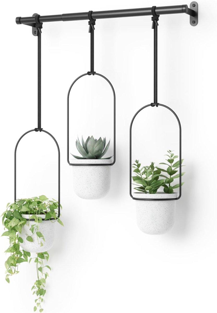 Hanging Window Planter Set 3 Indoor Herb Garden Adjustable Pots - Kwikley