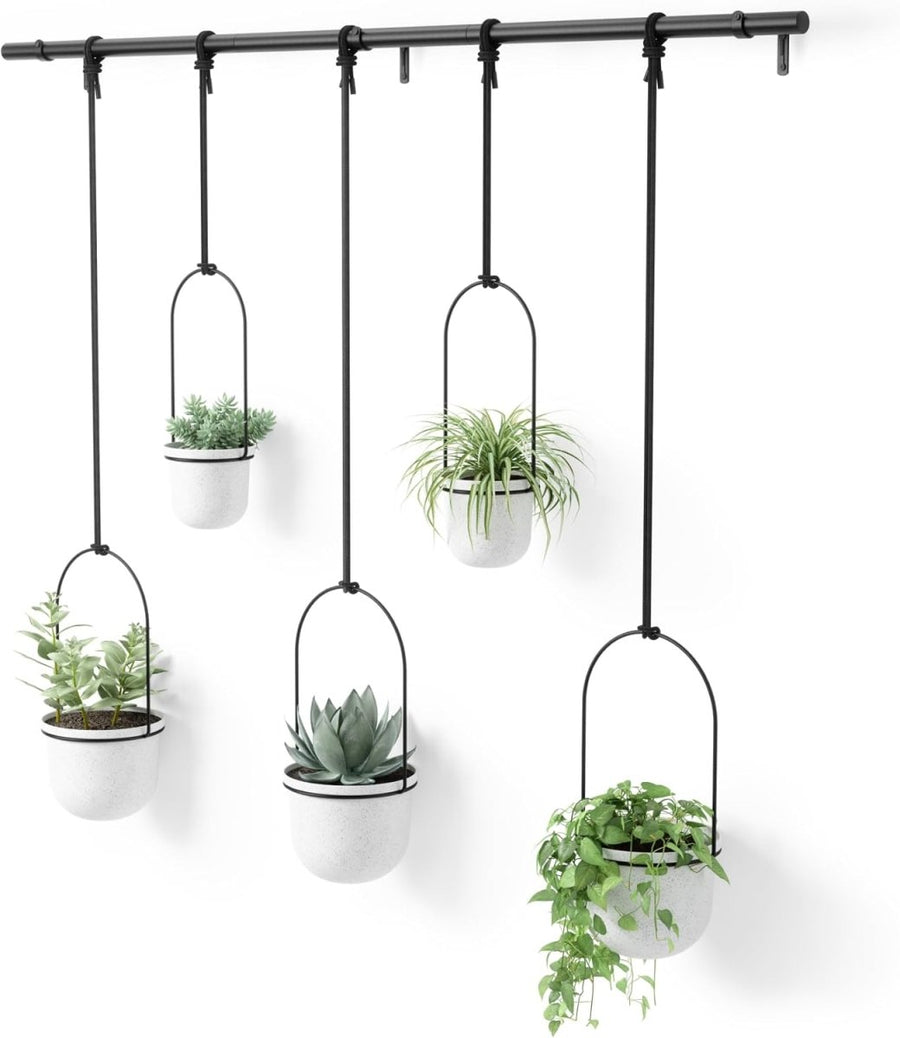 Hanging Window Planter Set 5 Indoor Herb Garden Adjustable Pots - Kwikley
