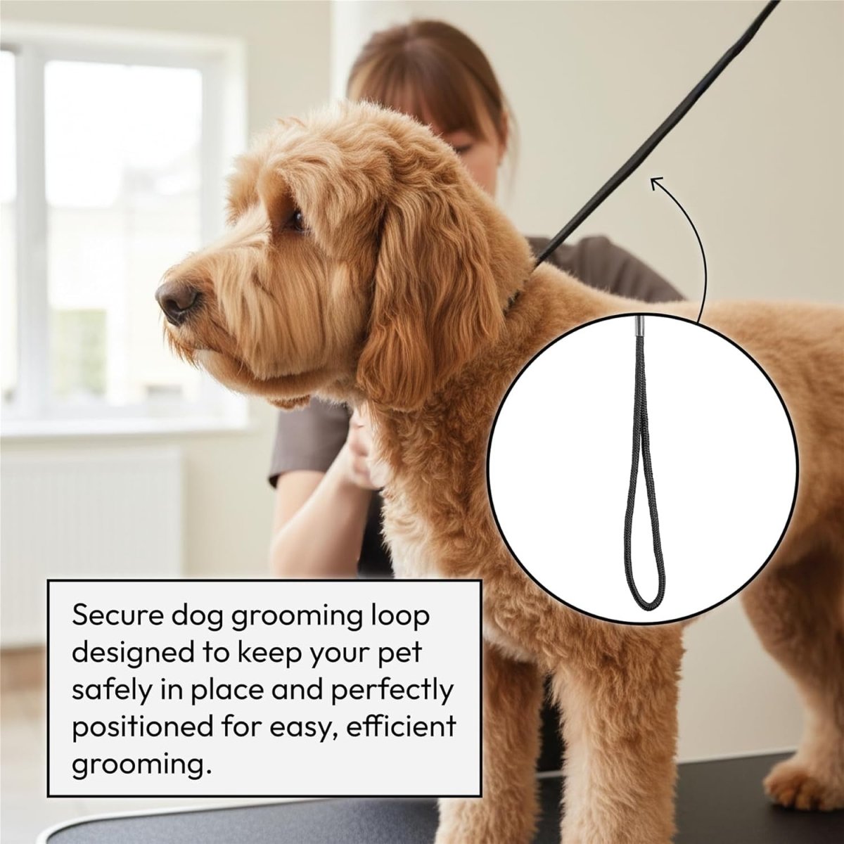 Hydraulic Dog Grooming Table Adjustable Height Non Slip Top with Arm - Kwikley