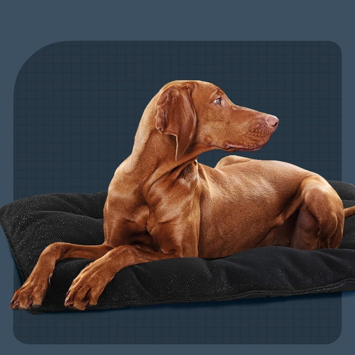 Indestructible Dog Bed XL Chew Proof Crate Pad 28x41in - Kwikley